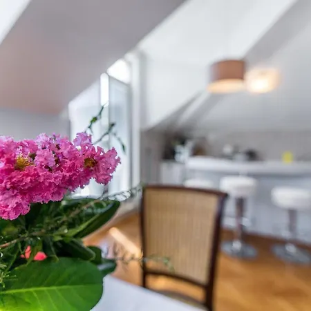 Apartment In Einer Mit Terrasse Und Meerblick